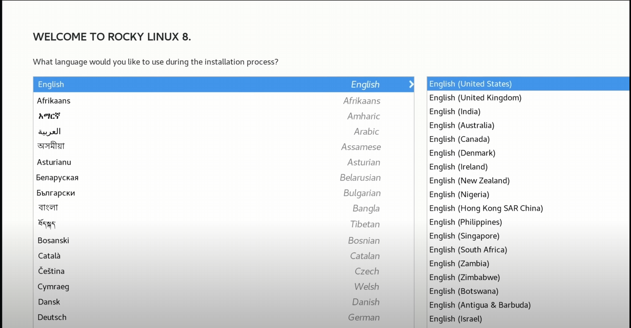 choose language during installation